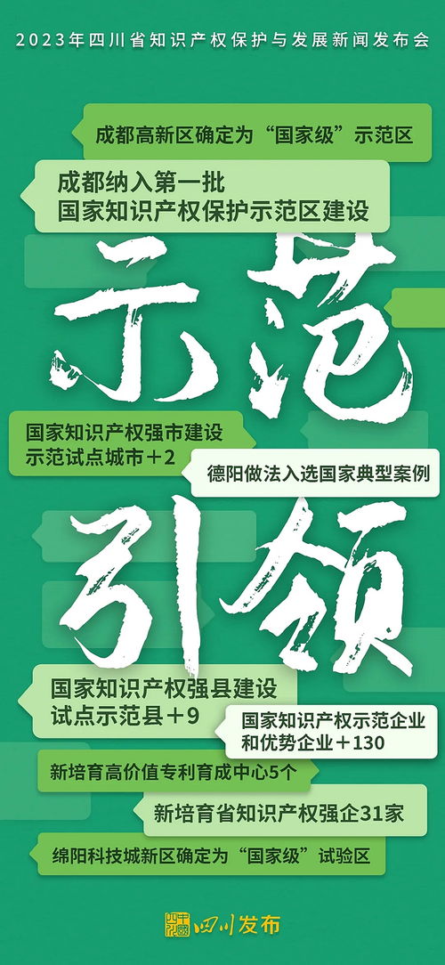 2023年四川省知識產(chǎn)權(quán)保護(hù)與發(fā)展 強(qiáng)化服務(wù)賦能創(chuàng)新，構(gòu)建高質(zhì)量發(fā)展新格局
